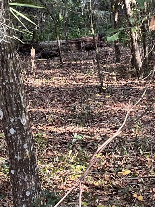Shingle Creek Bike Trailhead