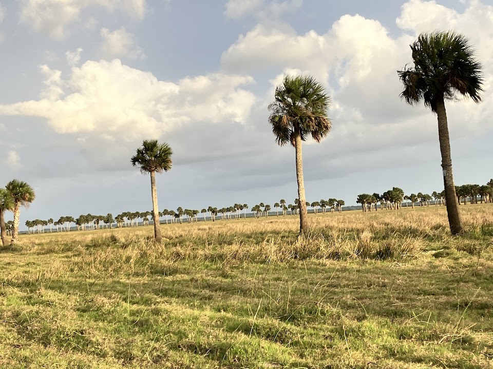 Marl Bed Flats Tract Trailhead