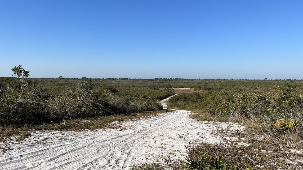 Allen David Broussard Catfish Creek Preserve State Park