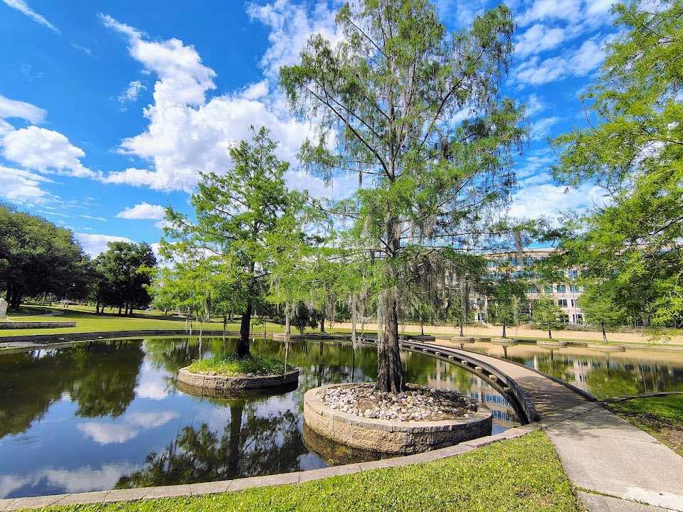 Arbor Park