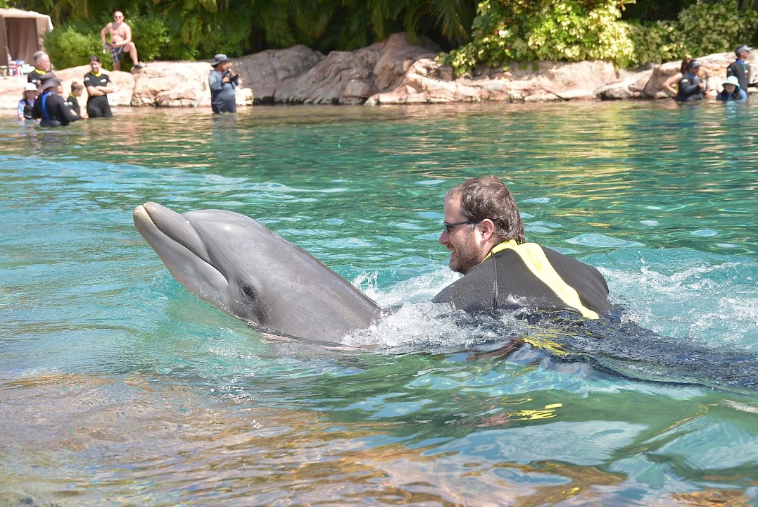 Dolphin Lagoon