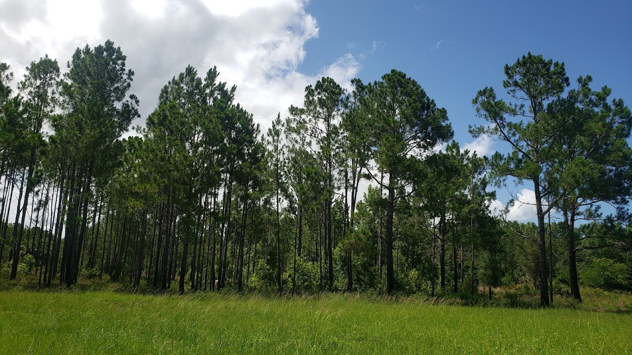 Snell Creek Trailhead