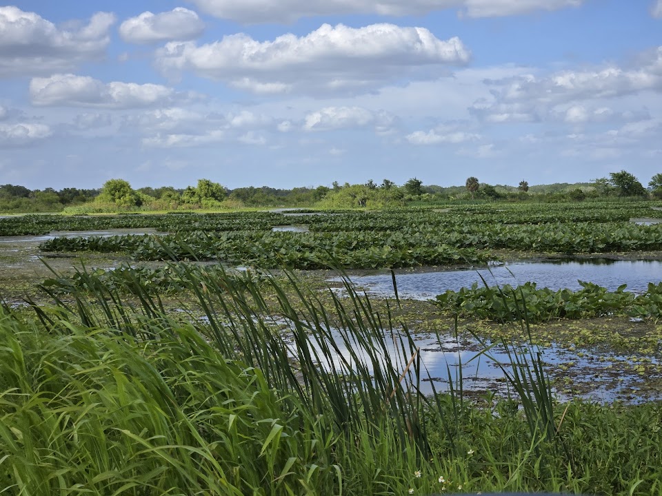 Emeralda Marsh Conservation Area