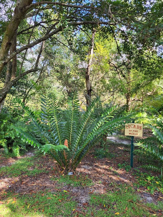 Mead Community Garden