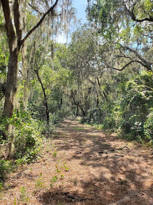 Scrub Point Preserve