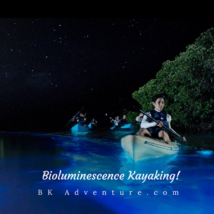 BK Adventure Florida - Bioluminescence Tours