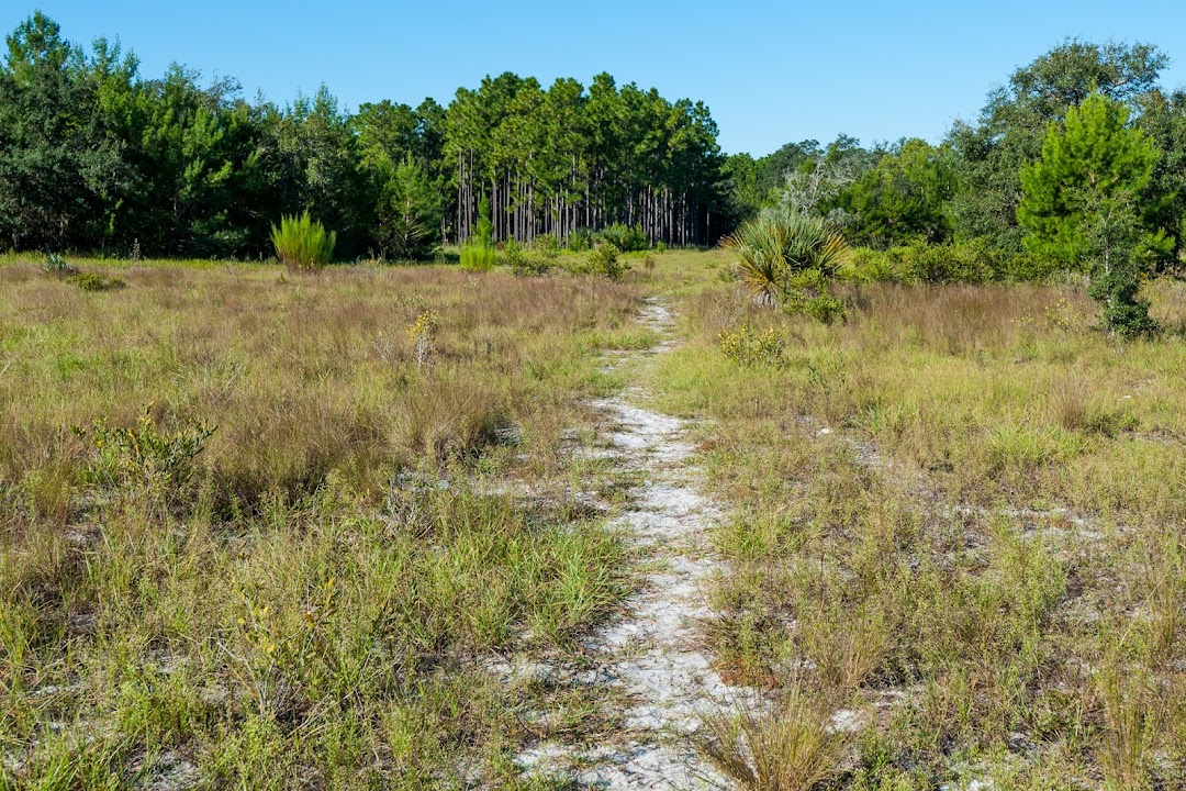 Econlockhatchee Sandhills Conservation Area