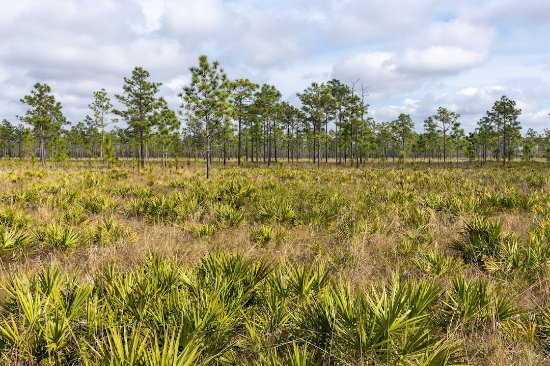 Hal Scott Regional Preserve and Park