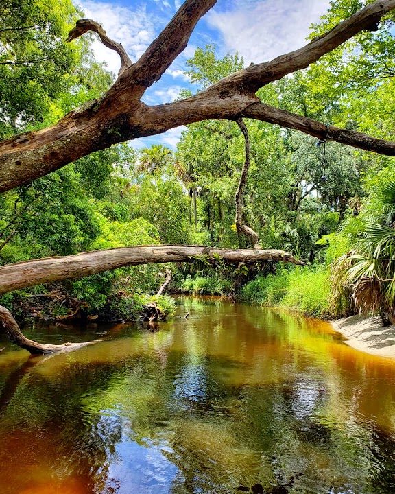 Black Hammock Trailhead