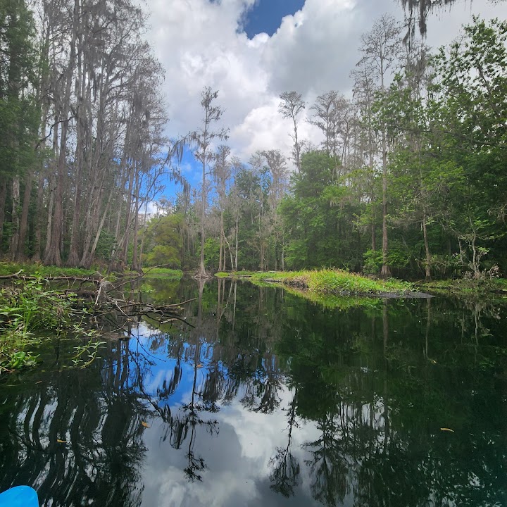 Shingle Creek Regional Park - Babb landing
