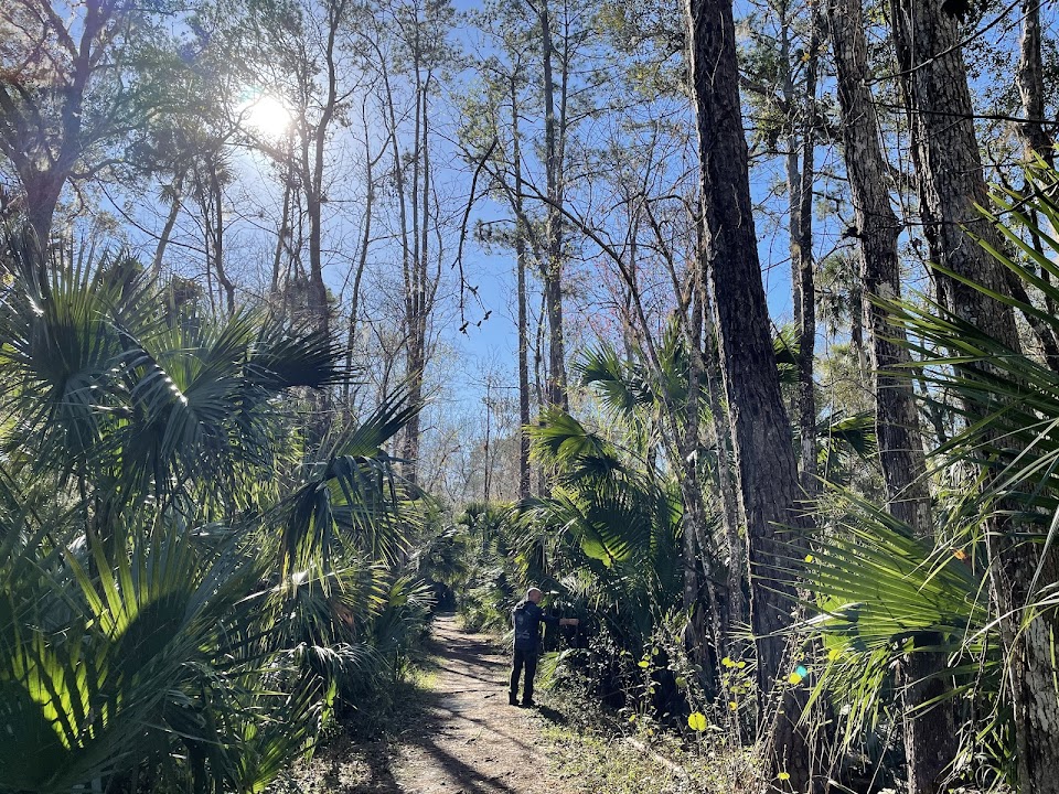 Black Bear Wilderness Trailhead