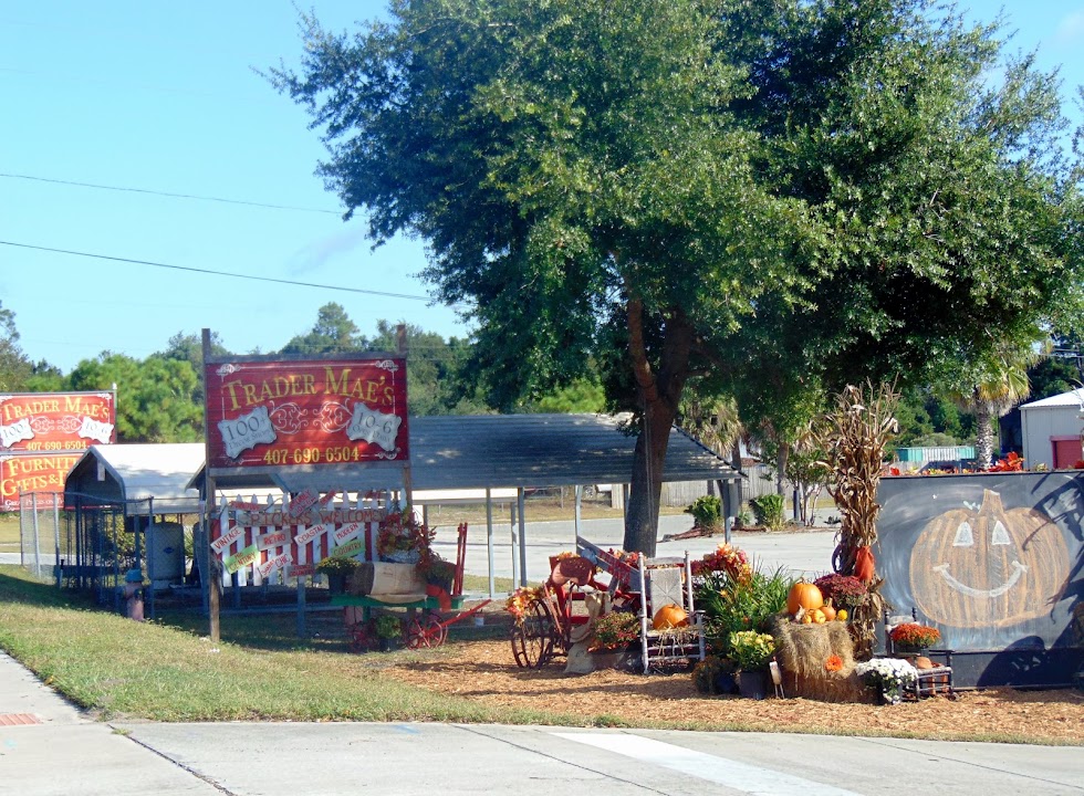 Trader Mae's Decor Market