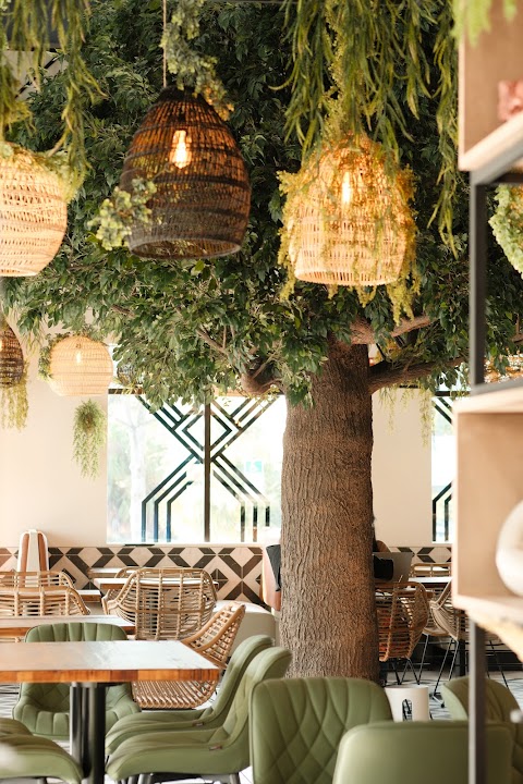 Vida Cocina & Tequila