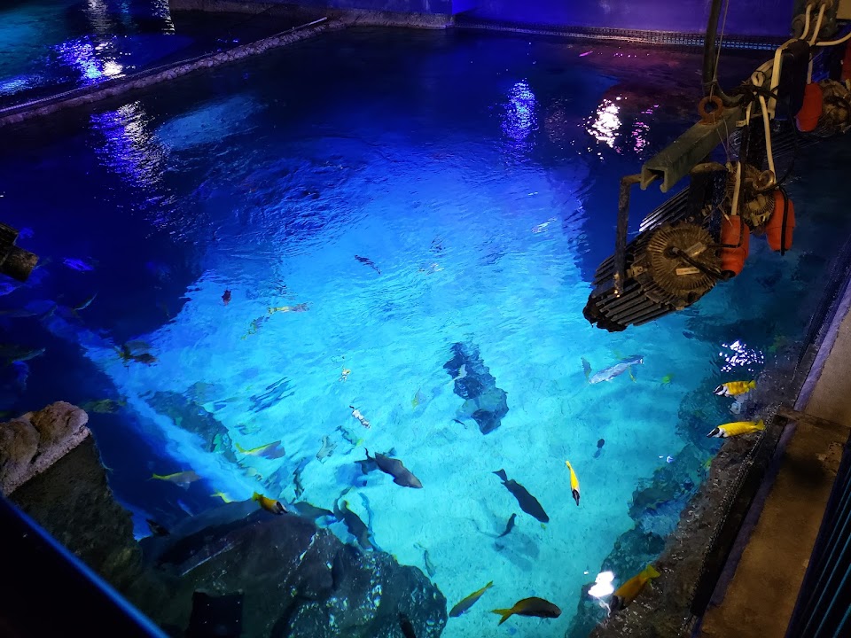 SEA LIFE Orlando Aquarium