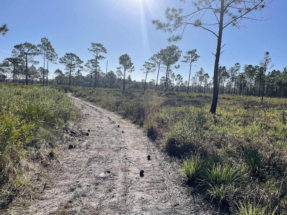 Isle of Pine Preserve Trailhead