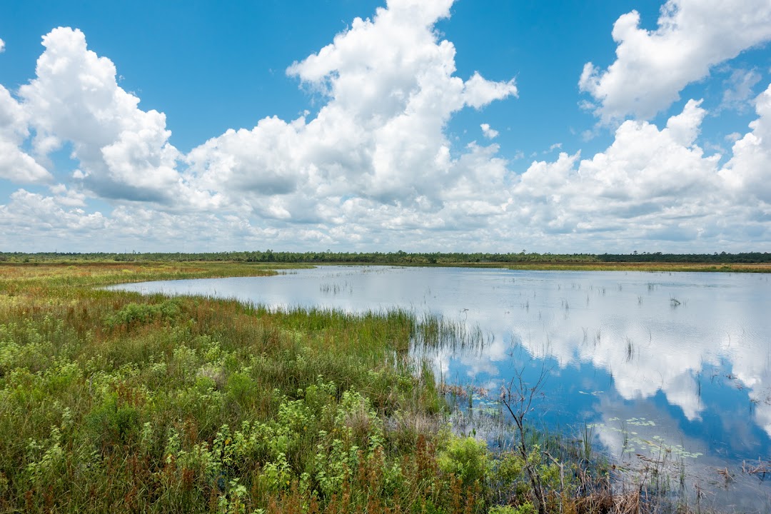 Buck Lake Conservation Area