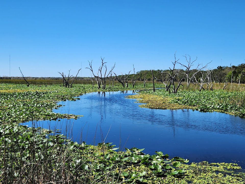Orlando Wetlands