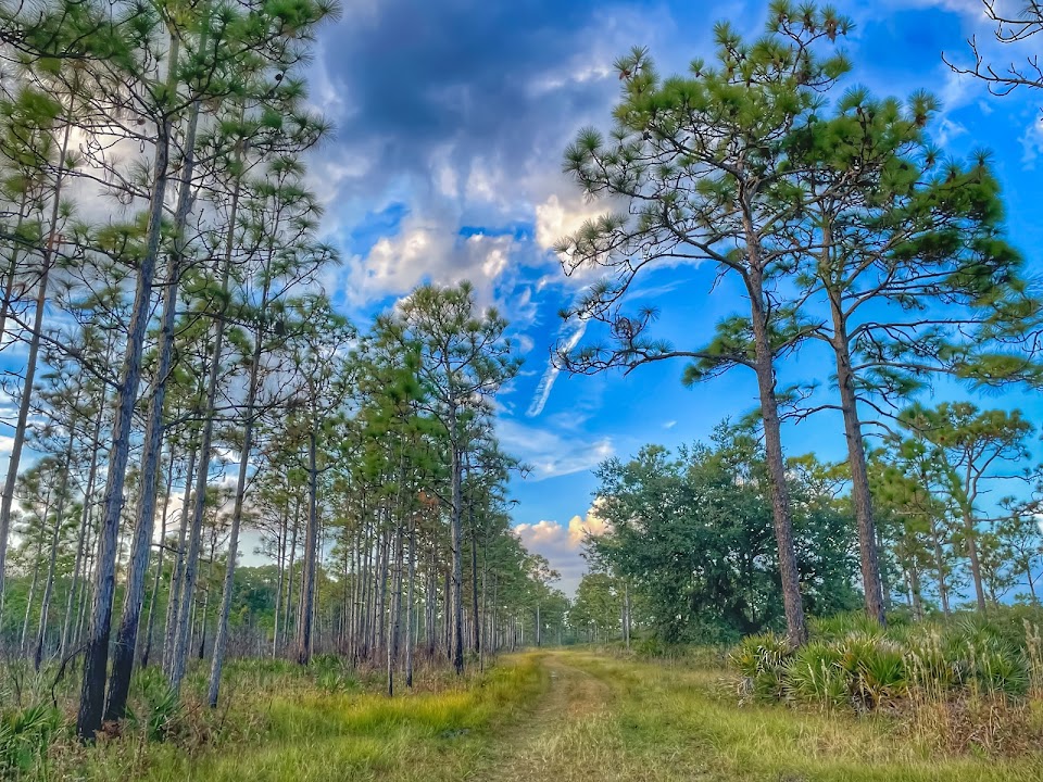 Split Oak Forest Wildlife and Environmental Area