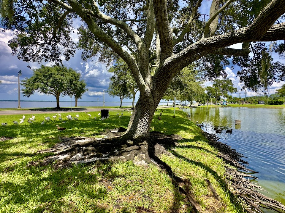 Lake Carola