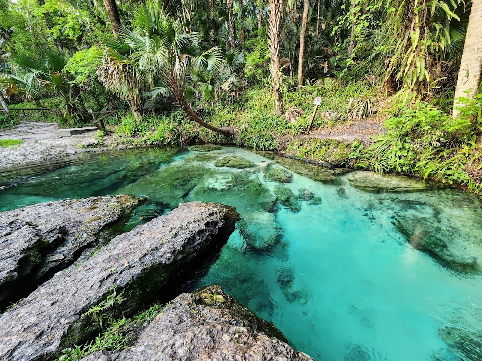 Kelly Park - Rock Springs
